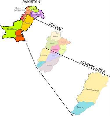 Genetic characterization of human echinococcosis in Southern Punjab, Pakistan